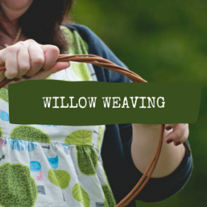 Willow Weaving Workshops