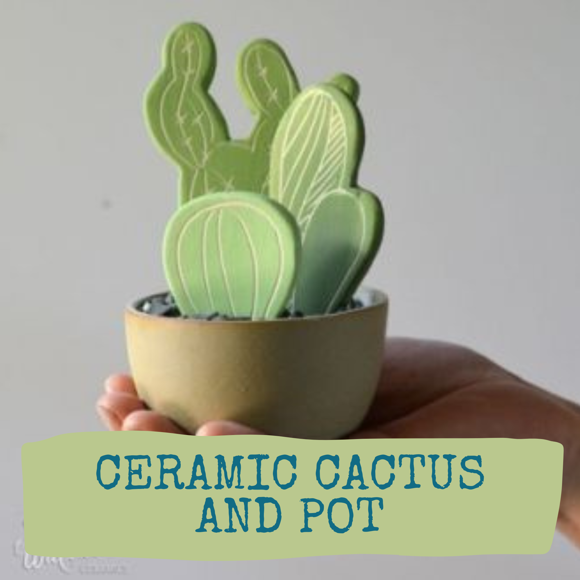 Ceramic cactus and pot
